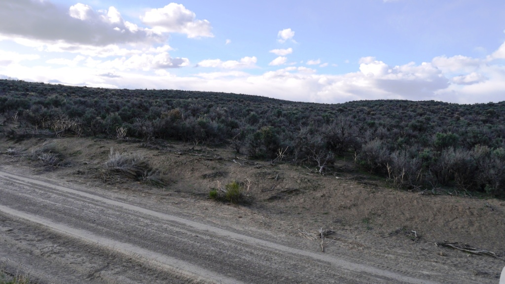 Humboldt River Ranches Elko Nevada